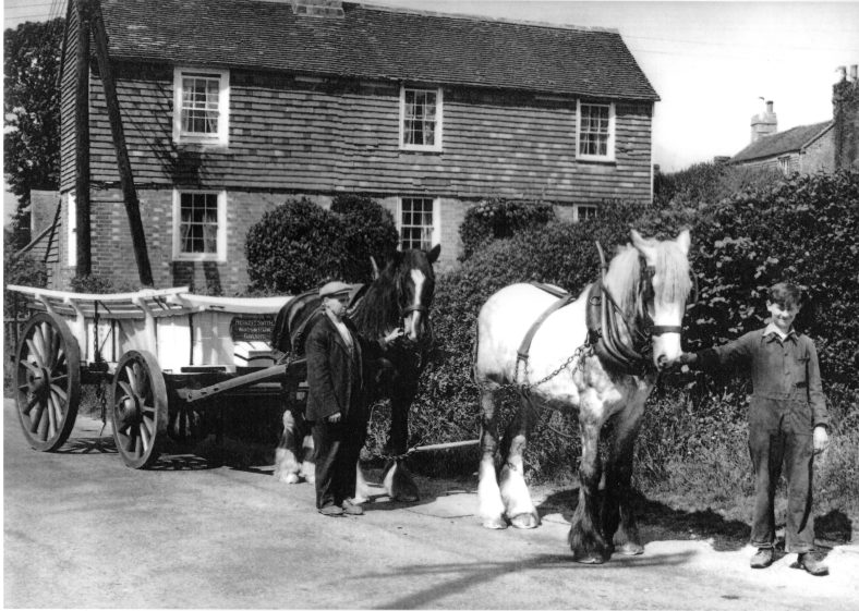 Wakeham's Farm Horses and Wagon